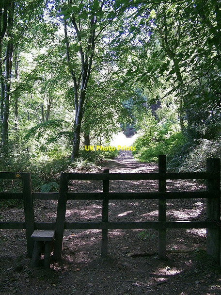Photo 6"x4" Stile in the wood Liverton\/SX8075 c2010
