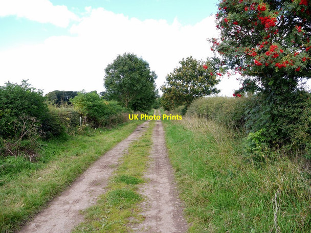 Photo 6"x4" Track south of Beanley Beanley c2010