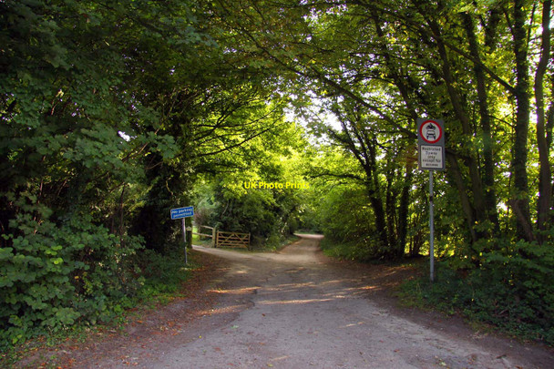 Photo 6"x4" The Ridgeway under Beacon Hill Lewknor c2010