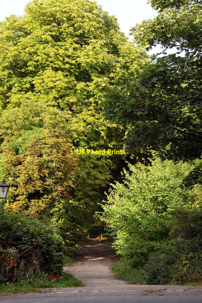 Photo 6"x4" The Ridgeway by Beacon Hill Lewknor c2010