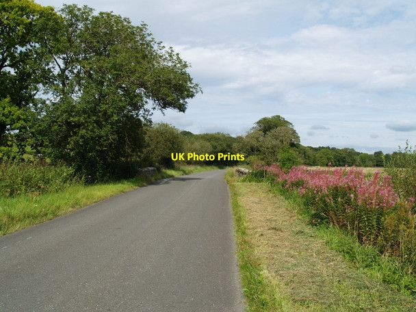 Photo 6"x4" Roadway crossing Barnboard Bridge. Bridge of Dee\/NX7360 c2010
