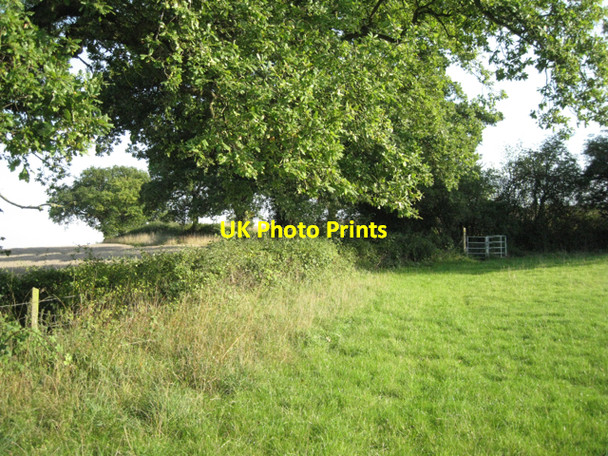 Photo 6"x4" Exit field by hole in hedge: 2 Copt Green c2010