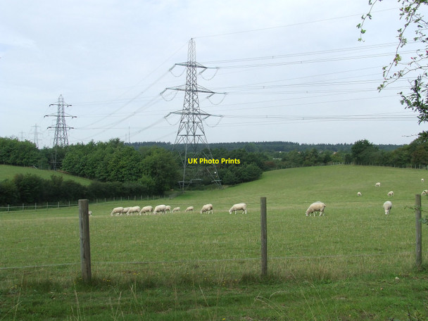 Photo 6"x4" Sheep and Pylons Rose Green\/TL9337 c2010