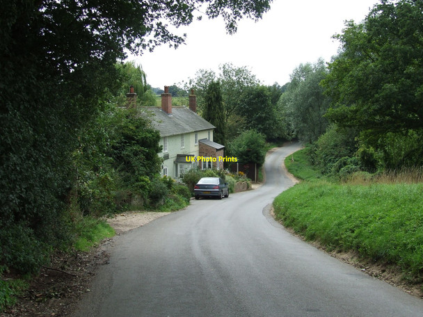 Photo 6"x4" Country Lane Dorking Tye c2010