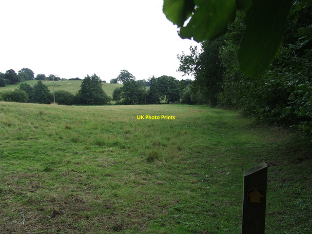 Photo 6"x4" Open Country Bures Green c2010