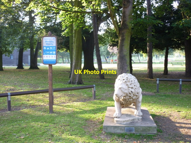 Photo 6"x4" One of two Lions at Weelsby Woods Cleethorpes c2010