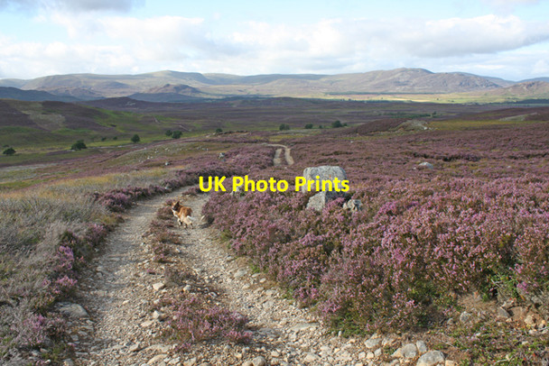 Photo 6"x4" Hill track following Allt Ghiubhais Meall Dubh\/NN7295 c2010