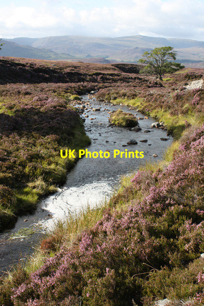 Photo 6"x4" Allt Ghiubhais Allt Ghiubhais\/NN7394 c2010
