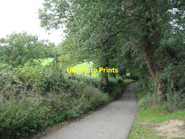 Photo 6"x4" Tapster Lane below Lapworth Lapworth c2010