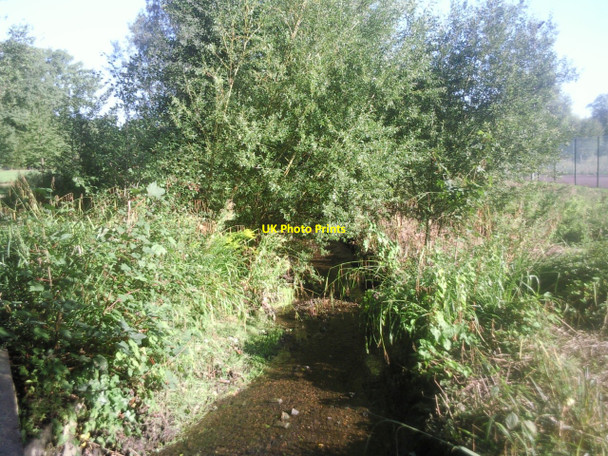 Photo 6"x4" Quaggy River in Chinbrook Meadows Bromley\/TQ4069 c2010