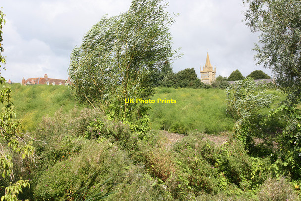 Photo 6"x4" Asparagus field, Evesham Evesham c2010