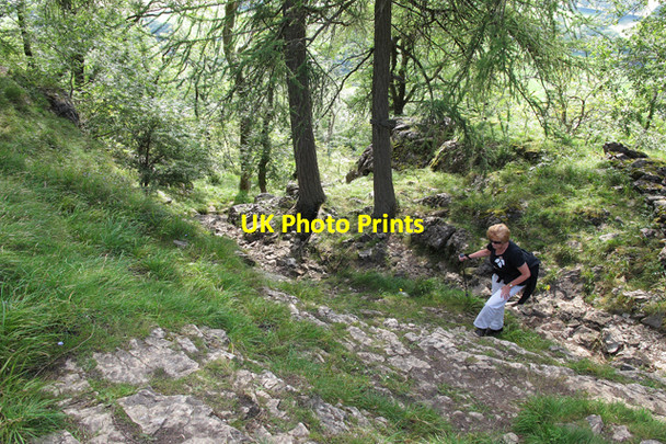 Photo 6"x4" Climbing Park Scar Arncliffe c2010
