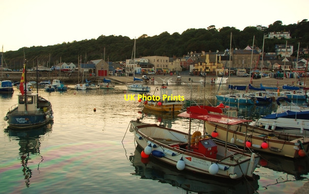 Photo 6"x4" Lyme Regis: Harbour Lights Lyme Regis c2010
