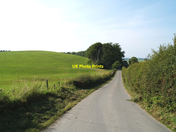 Photo 6"x4" Road to Craigton Wood. Castle Douglas c2010