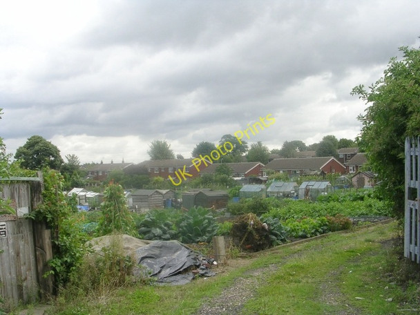 Photo 6"x4" Allotments - Altofts Hall Road Normanton\/SE3822 c2009
