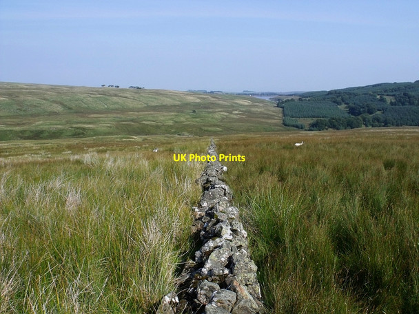 Photo 6"x4" Craigannet Hill, the Lang Dyke Craigengelt Hill c2010