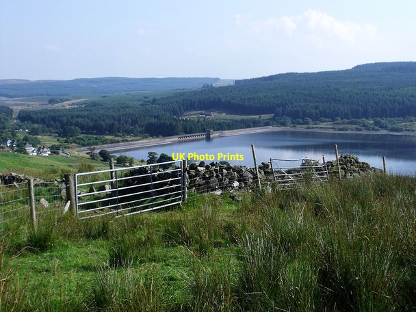 Photo 6"x4" Field gate on Craigannet Craigs Craigannet Hill c2010