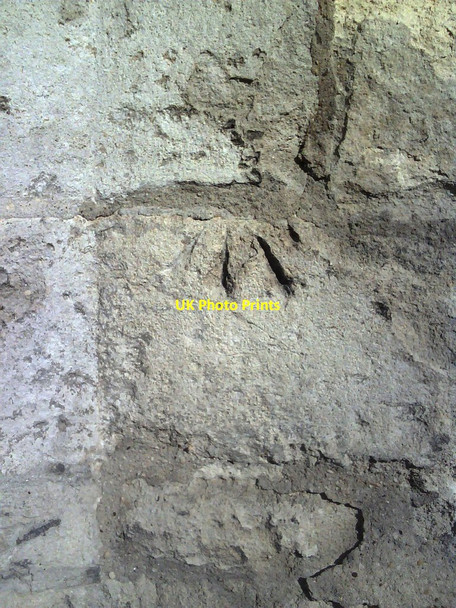 Photo 6"x4" Worn benchmark on wall of Longwall Street Oxford\/SP5106 c2010