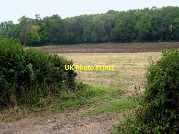 Photo 6"x4" Fields and woodland near Moorhouse Farm, Stringston Dyche c2010