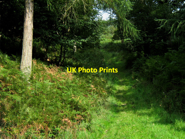 Photo 6"x4" Path up Stowborrow Hill, West Quantoxhead West Quantoxhead c2010