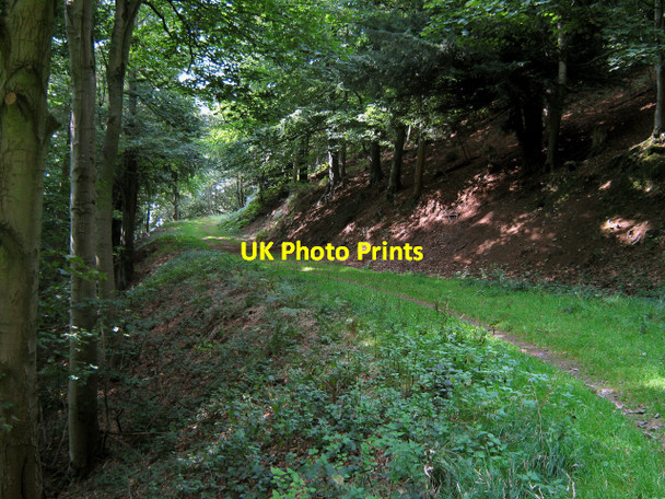 Photo 6"x4" Path around Stowborrow Hill, West Quantoxhead West Quantoxhead c2010