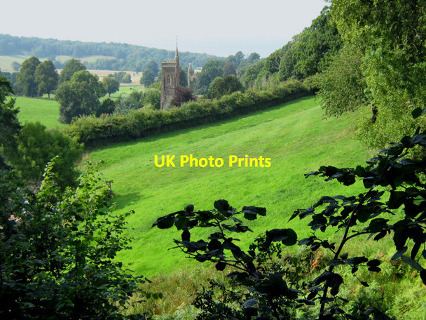 Photo 6"x4" Stowborrow Hill, West Quantoxhead West Quantoxhead c2010