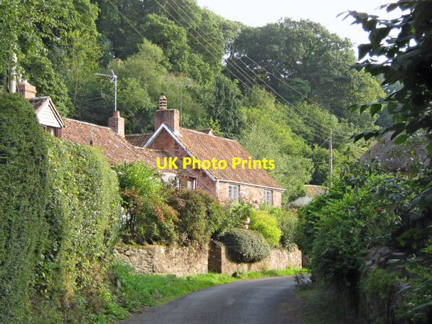 Photo 6"x4" Holford Combe and Woodlands Hill Holford c2010 P1