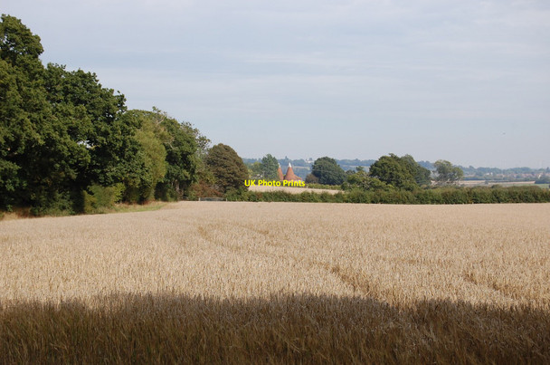 Photo 6"x4" Oast at Tillingham Farm Cock Marling c2010