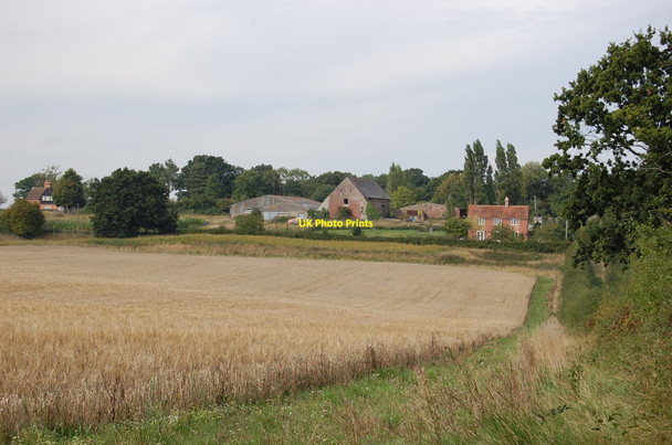 Photo 6"x4" Pelsham Farm Cock Marling c2010