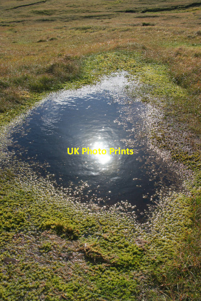 Photo 6"x4" Moorland pool, Hermaness Burrafirth c2010