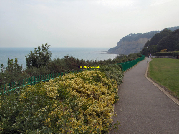 Photo 6"x4" Cliff Top Path - Shanklin Shanklin c2010