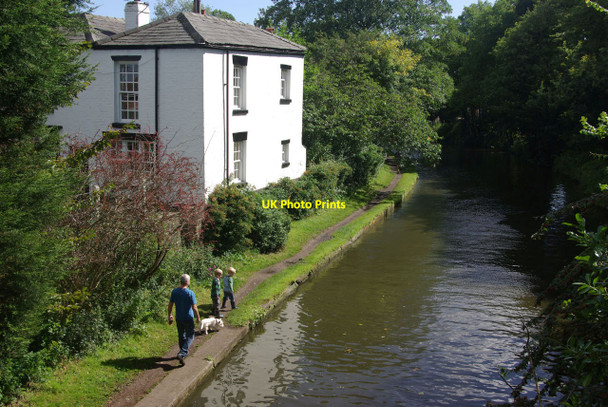 Photo 6"x4" Bridgewater Canal, Grappenhall Grappenhall c2010