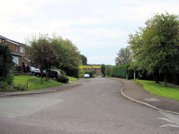Photo 6"x4" Gladstone Grove Biddulph c2010