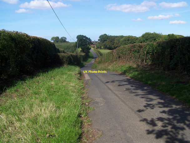 Photo 6"x4" Lane To Hazel Street Bicknor c2010