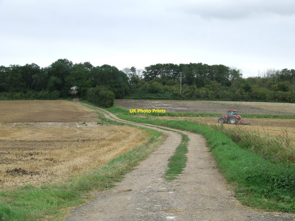 Photo 6"x4" To Titley Hill Barking\/TM0753 c2010