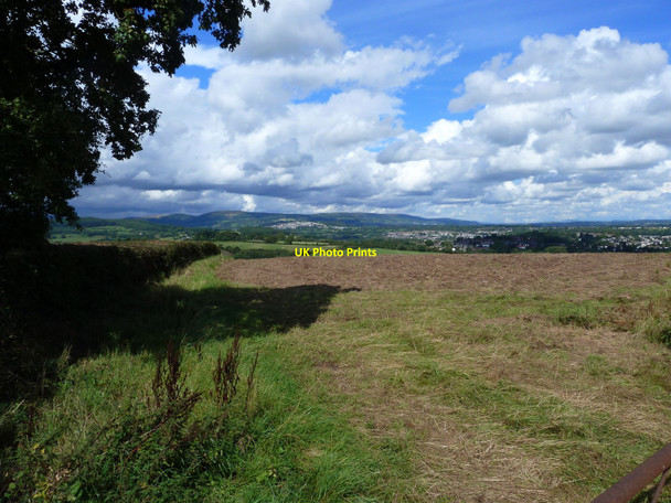 Photo 6"x4" Field and tree shadow, near Pen-y-lan Clearwell c2010