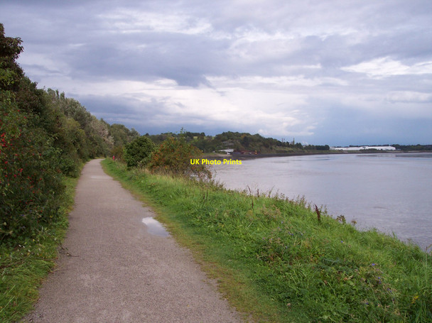 Photo 6"x4" The Trans Pennine Trail at Hale Bank Widnes c2010