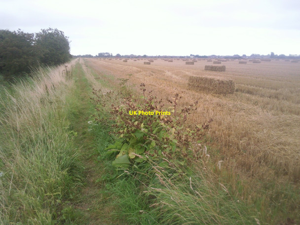 Photo 6"x4" Footpath alongside the New  Sewer New Romney c2010