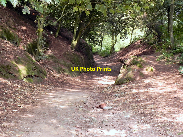 Photo 6"x4" Woodland Path, Beeston Castle Beeston\/SJ5458 c2010