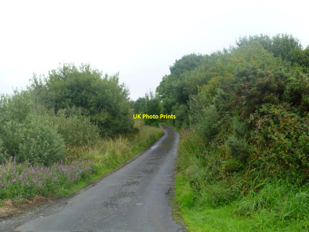Photo 6"x4" Country Lane near Drummin Drummin\/L9371 c2010