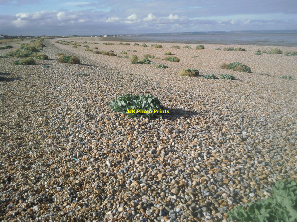 Photo 6"x4" Coastal view near Lade Greatstone-on-Sea c2010
