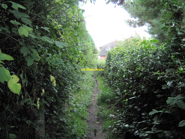 Photo 6"x4" Looking towards Smithy Lane Biddulph c2010