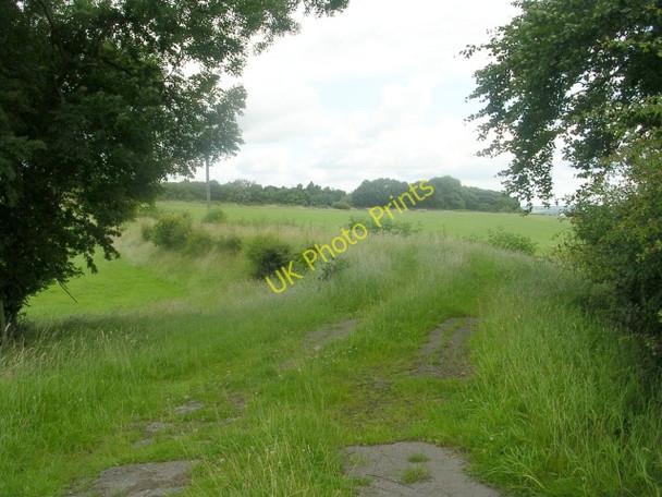 Photo 6"x4" Footpath - Leeds Road Old Bramhope c2009