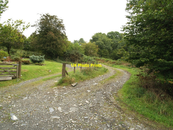 Photo 6"x4" Roads into Glenhoise Minnigaff c2010