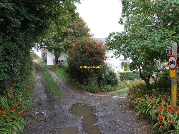 Photo 6"x4" Fork in the footpath Surby c2010
