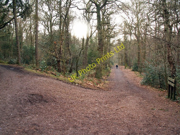 Photo 6"x4" Junction of tracks, Lickey Hills Country Park Kendal End c2006