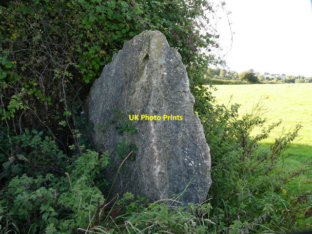 Photo 6"x4" Neolithic Chamber Tomb at  Broadsands Broadsands c2010