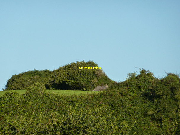 Photo 6"x4" Neolithic Chamber Tomb at Broadsands Broadsands c2010