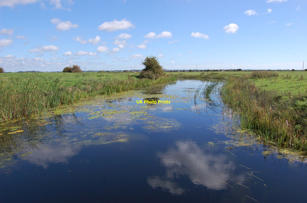 Photo 6"x4" Chilley stream Pevensey c2010