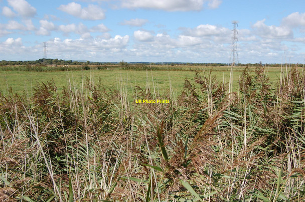 Photo 6"x4" Pevensey Levels Rickney c2010